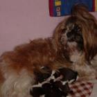 004_2005_004.jpg