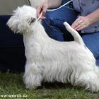 RUFFUS Blataj