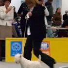 009_2009_016.jpg
