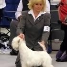 009_2009_020.jpg