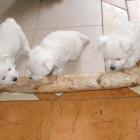 08_miot_l_017.jpg