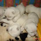 08_miot_l_008.jpg