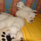 08_miot_l_009.jpg