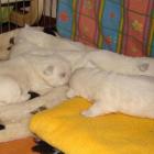 08_miot_l_010.jpg