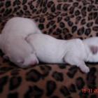 08_miot_l_004.jpg