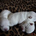08_miot_l_005.jpg
