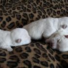 08_miot_l_007.jpg