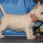 08_miot_m_016.jpg