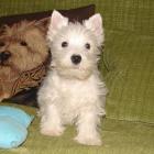 08_miot_m_025.jpg