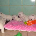 08_miot_m_011.jpg