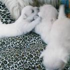 08_miot_d_018.jpg
