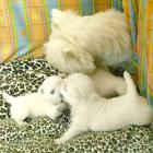 08_miot_d_019.jpg