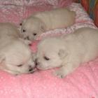 08_miot_d_007.jpg