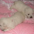 08_miot_d_009.jpg