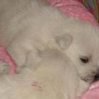 08_miot_d_010.jpg