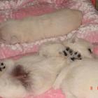 08_miot_d_011.jpg