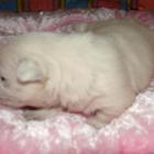 08_miot_d_013.jpg