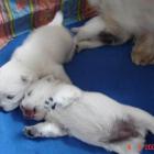 08_miot_d_005.jpg