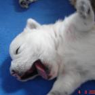 08_miot_d_006.jpg