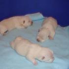 08_miot_d_002.jpg