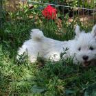 amelie_017.jpg