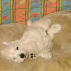 amelie_014.jpg