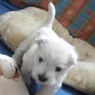 amelie_010.jpg