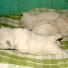 miot_w_006.jpg