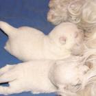 2006_n_004.jpg