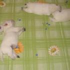 2006_m_002.jpg