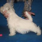 2005_c_003.jpg