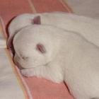 2005_e_001.jpg
