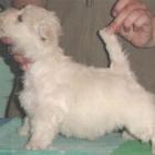 2004_r_001.jpg