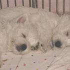 2004_b_001.jpg