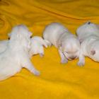 09_miot_d_012.jpg