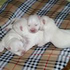 09_miot_d_007.jpg
