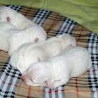 09_miot_d_009.jpg