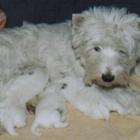 2002_s_001.jpg