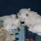 2002_s_003.jpg