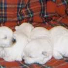 2002_d_001.jpg