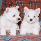 2002_d_002.jpg