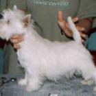 2002_d_004.jpg