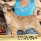 big_spender_01.jpg