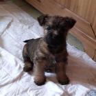 breakthru_7weeks_001.jpg