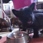 lit.b_7weeks_002.jpg