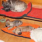 c.65weeks_sleeping.jpg