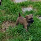 6weeks_boy.jpg
