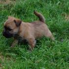 6weeks_boy01.jpg