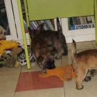 games-at-home01.jpg