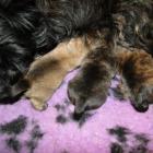 12days_001.jpg